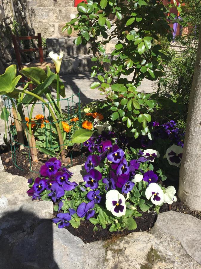 La Cle Des Songes Panzió Claviers Kültér fotó